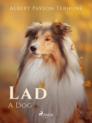 cover image of Lad